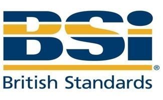 Первая публикация Института Британских стандартов (BSI)